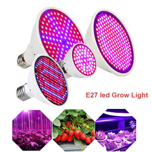 Lampada lampadine led - lampada,