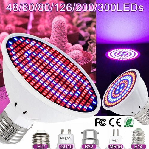 Lampadina led coltivazione - , b22
