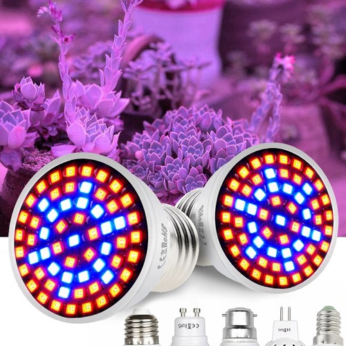 Lampadina led luci - led,